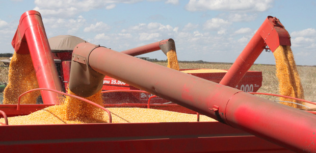 BRASNORTE, MT, 10.07.2015: AGRICULTURA-MT - Colheita de milho na fazenda Rio do Sangue, em Brasnorte (MT). (Foto: Mauro Zafalon/Folhapress)