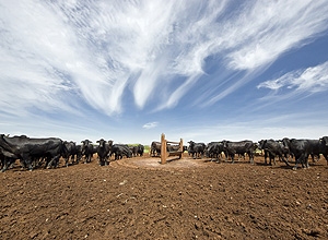 Gastao Guedes/Divulgação Marfrig Acquires Part of National Beef, Becoming 2nd Largest Meat Company in The World