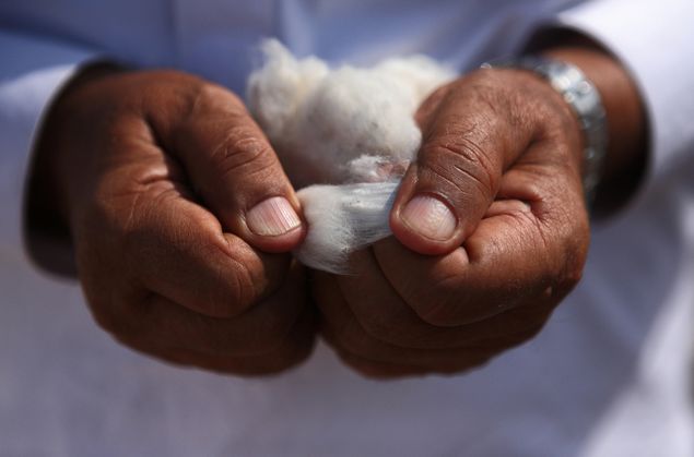 Funcionário de empresa em Punjab, no Paquistão, examina fibra de algodão com certificação internacional BCI