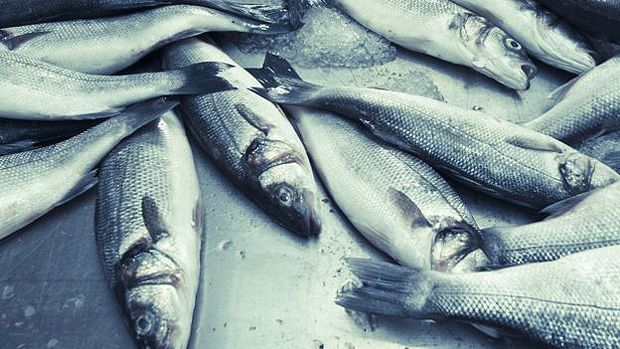 As fraudes em alimentos que podem atrapalhar as ceias de Natal e de Ano Novo --Grande quantidade de gelo em pescados tambm pode enganar consumidor 
