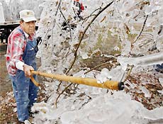 Morador de McAlester, em Oklahoma, rompe gelo que cobriu rvore aps tempestade