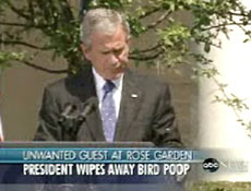 No meio de uma entrevista, as fezes de um pássaro atingem a manga de Bush (à dir.)