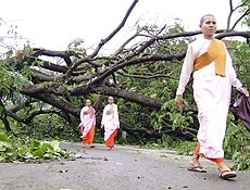Monjas budistas passam por árvores derrubadas por ciclone Nargis em Yangun