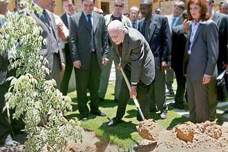 O ex-presidente americano Jimmy Carter planta uma árvore na Cidade de Gaza e diz que palestinos são tratados como animais