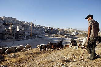 Pastor palestino observa animais em frente a um assentamento judaico prximo a Jerusalm conhecido como Har Homa 