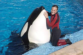 Treinadora Dawn Brancheau, que morreu após ataque de orca cativa no parque SeaWorld; família quer vetar vídeo