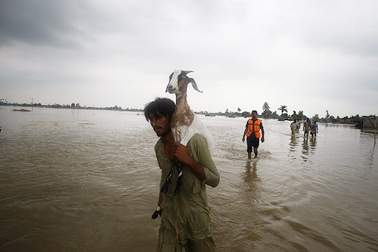 Paquistanês carrega bode nas costas para fugir de inundação na vila de Mehmud Kot, no centro do Paquistão