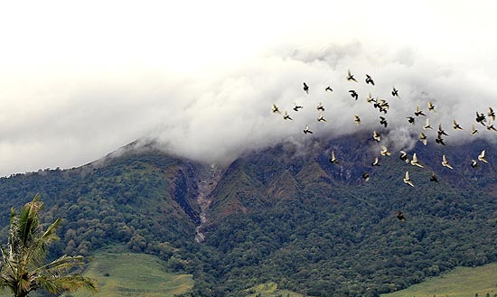 Pssaros passam por nuvem de cinzas lanada pelo vulco Sinabung, que entrou em erupo aps 400 anos