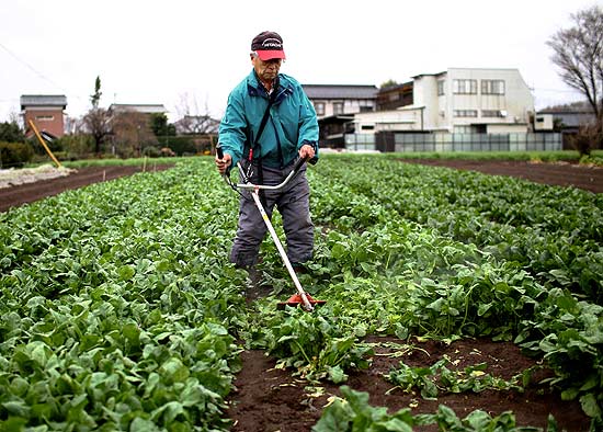 Fazendeiro verifica plantação de espinafre na região de Ibaraki; brócolis e leite foram contaminados nesta terça