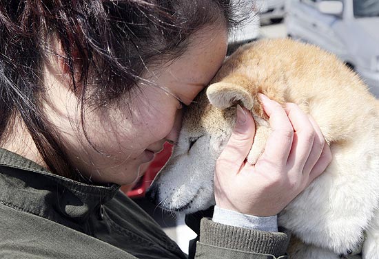 Desabrigada por tremor, Shoko Igarashi, 17, abraça seu cão; ele não pode ir ao abrigo e terá de ficar na casa de amigos de Shoko 