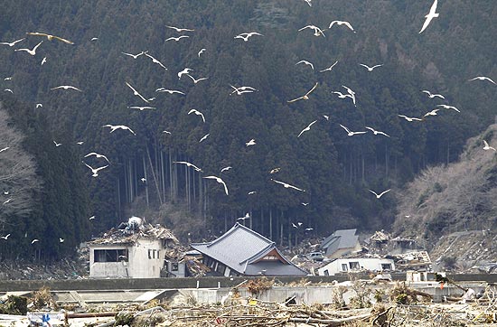 Pássaros sobrevoam região devastada por tremor em Rikuzentakata; reconstrução custará US$ 309 bilhões