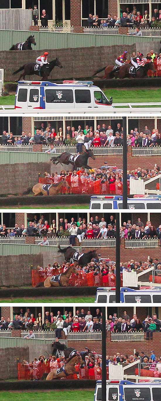 Sequncia de fotos mostra o cavalo Banna Strand invadindo a arquibancada de uma corrida na Austrlia