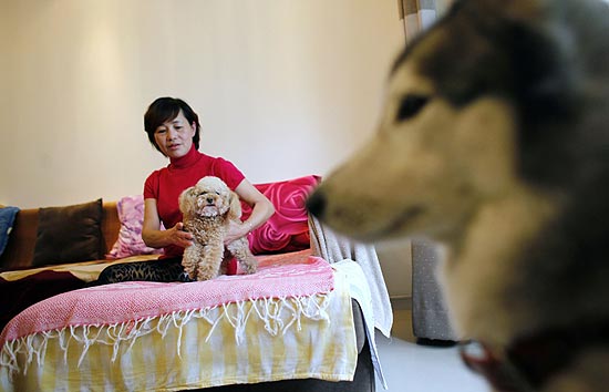 Guo Huiying segura um de seus cães em seu apartamento em Xangai; ela pensa em registrar os animais