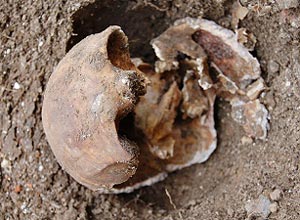 Descoberta do crânio no jardim da casa de David Attenborough ajudou a solucionar um mistério que já durava mais de 130 anos