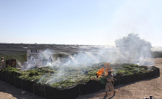 Soldados ateiam fogo em plantao de maconha encontrada no Estado da Baixa Califrnia, no Mxico