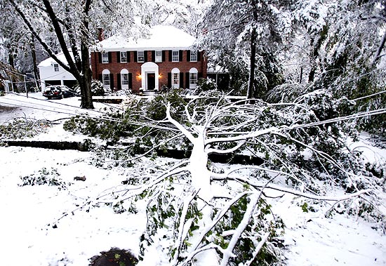 rvore cai e derruba fiaes eltricas em Belomont, Massachussetts; nevasca deixa milhares sem energia