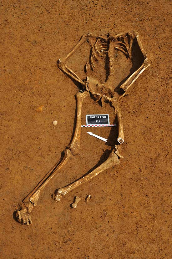 Esqueleto de soldado britânico morto há quase dois séculos na batalha de Waterloo