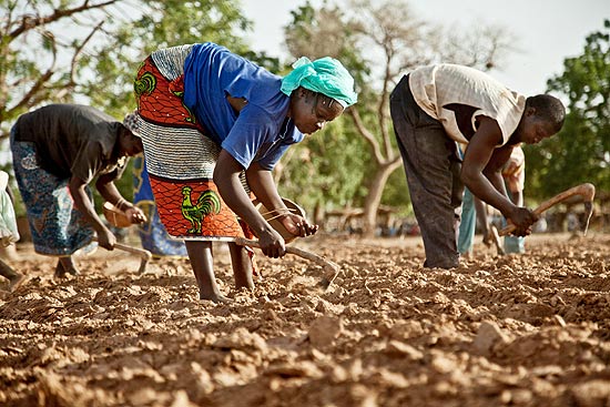 Camponeses tentam cultivar na terra seca; a regio do Sahel passa por uma crise alimentar que afetou milhes de pessoas
