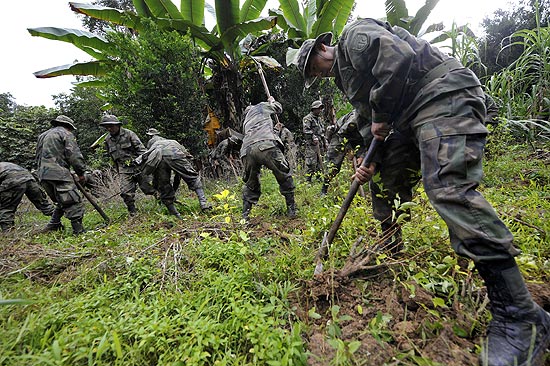 Soldados bolivianos destrem plantaes de coca em Caranavi, ao norte de La Paz, em junho deste ano