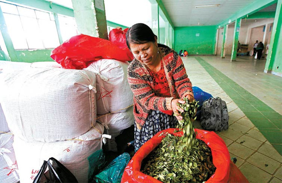 Comerciante de folhas de coca espera clientes em mercado legal de La Paz, na Bolívia 
