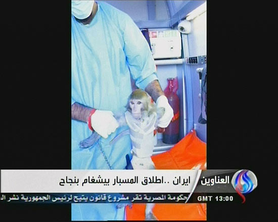 ORG XMIT: IRA100 An image grab taken from Iran's Al-Alam TV on January 28, 2013, shows an Iranian scientists at an unknown location holding a live monkey which the Tehran-based Arab-language channel said they sent up into space in a capsule and later retrieved intact. Al-Alam said the monkey was "alive" after traveling to an altitude of 120 kilometres (75 miles) for a sub-orbital flight as part of "preparations for sending a man into space," which is scheduled for 2020. AFP PHOTO/AL-ALAM TV ==RESTRICTED TO EDITORIAL USE - MANDATORY CREDIT "AFP PHOTO / AL-ALAM TV" - NO MARKETING NO ADVERTISING CAMPAIGNS - DISTRIBUTED AS A SERVICE TO CLIENTS ==