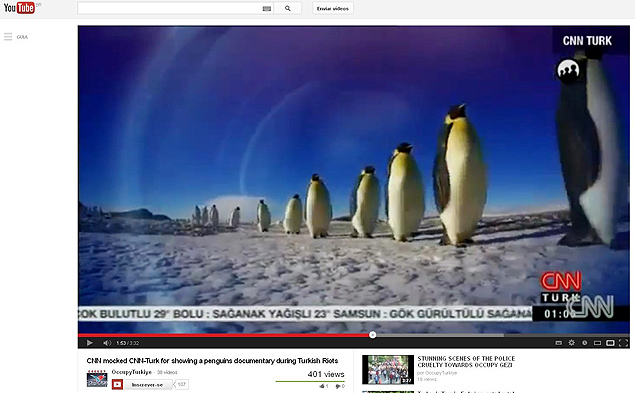 Reproduo de exibio de documentrio sobre os pinguins na CNN turca