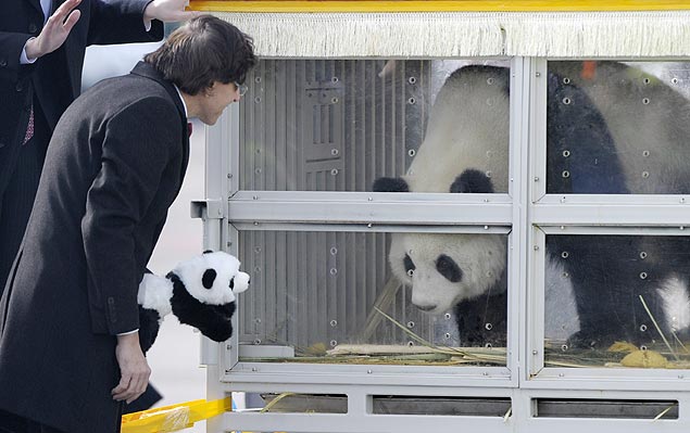 O premi belga, Elio Di Rupo, observa o panda giante Hao Hao no aeroporto de Bruxelas