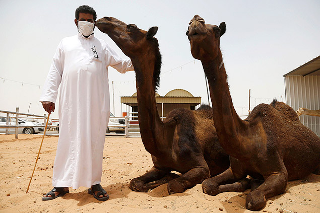 Mercado de camelos em Riyad; vrus da Mers pode ser transmitido pelo leite no pasteurizado