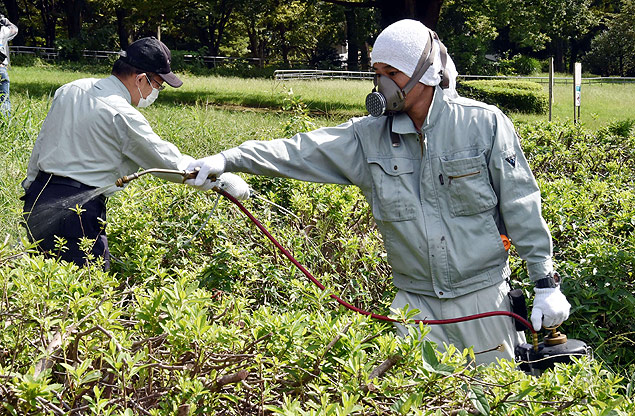 Funcionrios desinfectam parque Yoyogi, em Tquio, onde foram encontrados mosquitos infectados com o vrus 
