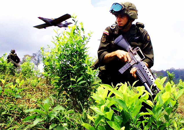 Soldado colombiano em plantao de coca em meio a operao de pulverizao area