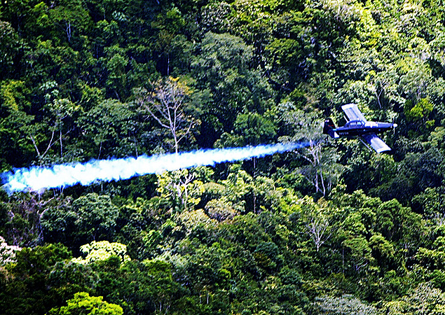 Avio da polcia joga herbicida em plantao de coca na Colmbia, em julho de 2003