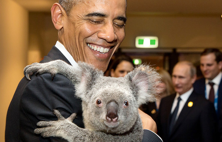 Antes de cerimnia de abertura do encontro do G20 em Brisbane, na Austrlia, presidente Obama segura coala 