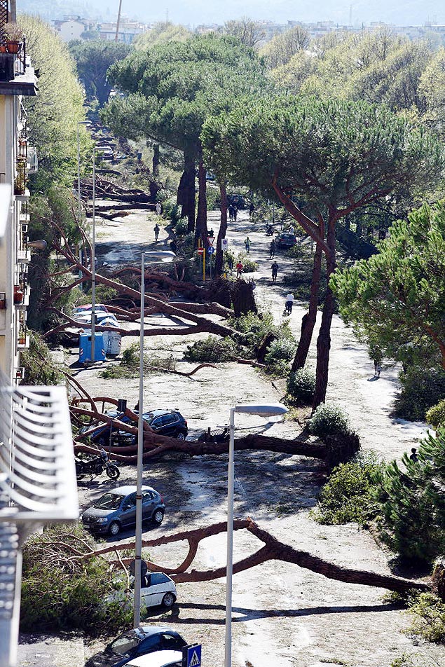 rvores derrubadas pelo tornado destruram carros em rua no centro de Florena 