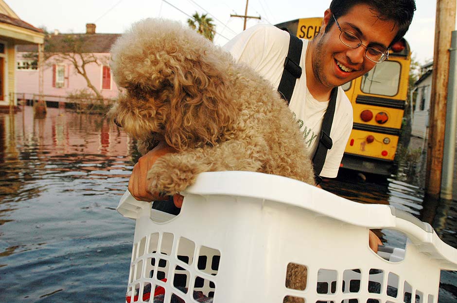 O cachorro Oliver, do escritor Alex Castro é resgatado por um fotografo em uma enchente depois da passagem do furacão Katrina nos EUA. (Foto Mark Gong) ***USO EXCLUSIVO EM ESPECIAL KATRINA*** ***PROIBIDA A VENDA E DISTRBUI&#135;&#131;O DESTA IMAGEM*** ***DIREITOS RESERVADOS. NO PUBLICAR SEM AUTORIZAO DO DETENTOR DOS DIREITOS AUTORAIS E DE IMAGEM***