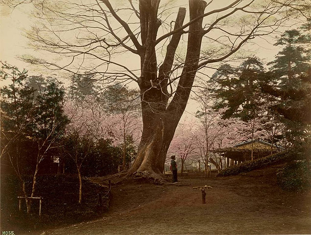 Tky Gartenlandschaft mit Geisha, 1885