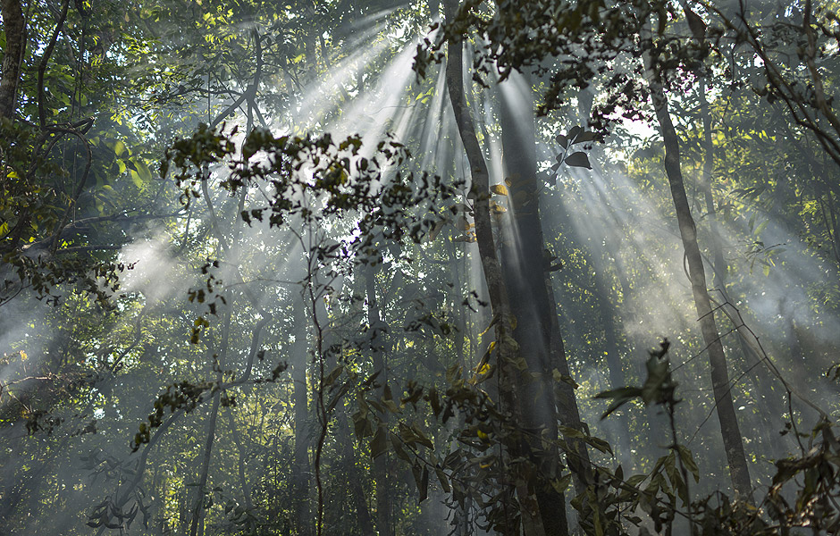 Trecho da Floresta Amaznica, no Mato Grosso; um dos mais robustos projetos de cooperao do Brasil com pases do Sul  para monitoramento da Amaznia regional