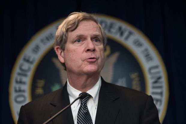(FILES) This file photo taken on March 18, 2015 shows US Agriculture Secretary Tom Vilsack speaking at a press conference in Washington, DC on March 18, 2015. US Democratic presidential candidate Clinton is expected to reveal her vice presidential pick by July 23, when she campaigns in Florida. Vilsack has known the Clintons for decades, and the candidate is said to have deep trust in him. A native of Pittsburgh, he could help carry the crucial swing state of Pennsylvania. / AFP PHOTO / NICHOLAS KAMM ORG XMIT: NK028