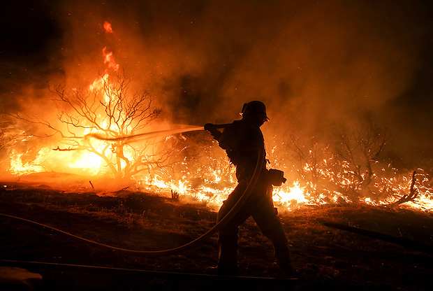 A firefighter battles the Blue Cut wildfire near Cajon Pass, north of San Bernardino, California on August 16, 2016. A rapidly spreading fire raging east of Los Angeles forced the evacuation of more than 82,000 people on August 16 as the governor of California declared a state of emergency. Despite the efforts of 1,250 firefighters with more on the way, none of the inferno was contained as of late on August 16, state firefighting agency Cal Fire spokeswoman Lynne Tolmachoff told AFP. The wildfire poses "imminent threat to public safety, rail traffic and structures," according to the website, which said 82,640 people fell under an evacuation warning. / AFP PHOTO / RINGO CHIU ORG XMIT: RC001