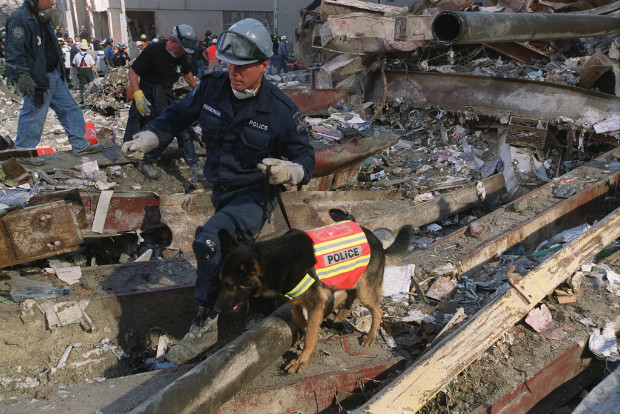 Policial com cão farejador faz buscas nos escombros do World Trade Center dias depois dos atentados