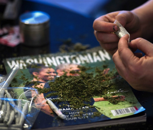 Members of the DC Marijuana Coalition, that plan on handing out around 4200 joints of legally grown cannabis, according to Washington, DC law, twist up joints on January 5, 2017, to pass out on US President elect Donald Trump's Inaugural Day. / AFP PHOTO / Paul J. Richards ORG XMIT: PJR013