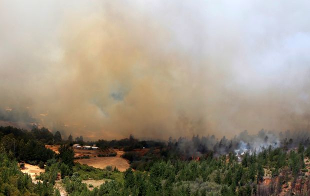 Fogo avana sobre floresta perto da cidade de Cauquenes, na regio de Maule, na regio central do Chile