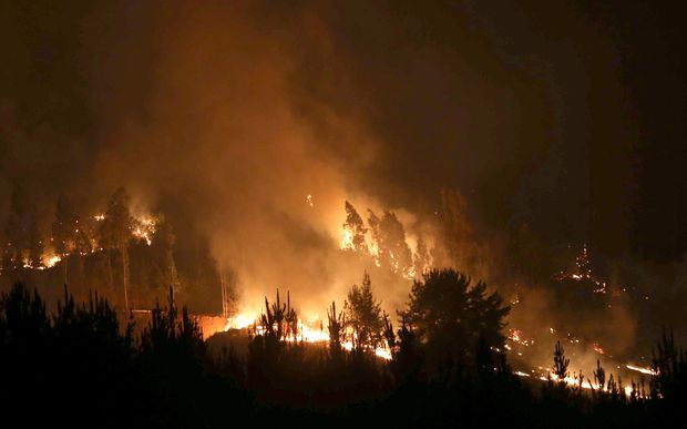 Fogo consome floresta perto da cidade de Empedrado, na provncia do Maule, centro-sul do Chile 