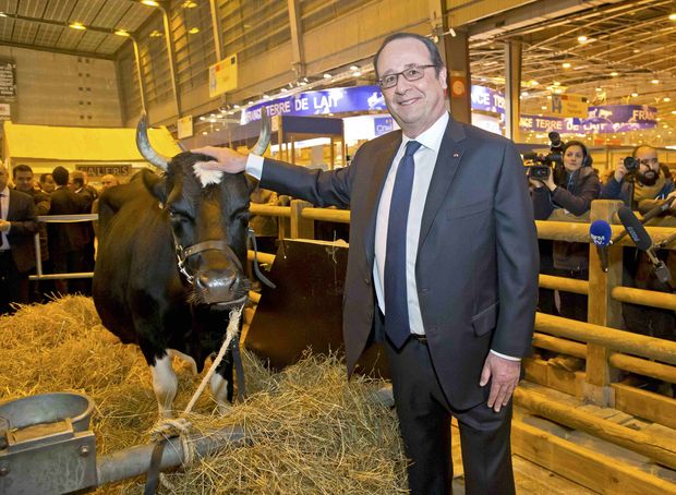 O presidente francs, Franois Hollande, posa ao lado de uma vaca na Feira de Agricultura de Paris