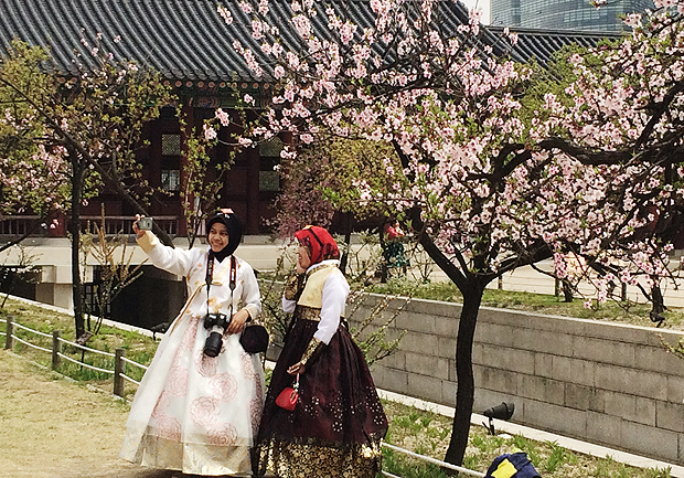 Alencar izidoro/ FolhapressTuristas tiram fotos em rvores em palcio turstico de Seul