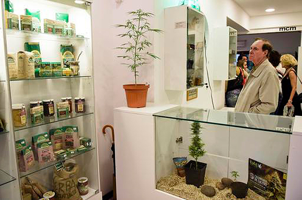 Ed Rosenthal, que planta maconha na Califórnia, visita o Museu da Cannabis de Montevidéu