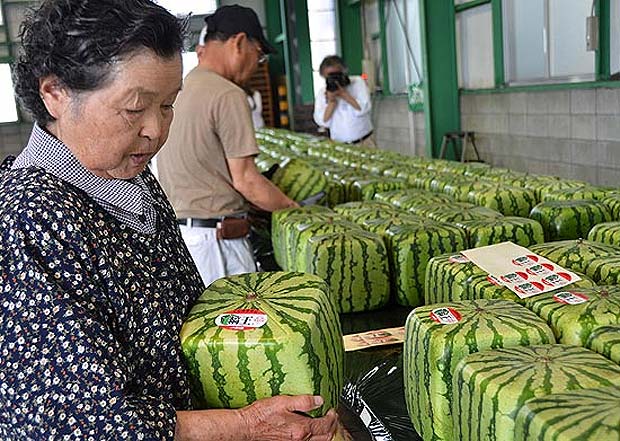 Consumidores observam melancia quadrada no Japão, onde um agricultor conseguiu cultivar fruta em 2007 