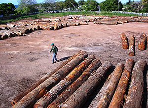 Ibama impede o esquentamento de 850 m3 de madeira ilegal no PA