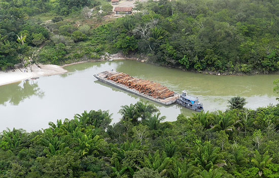 Balsa com madeira ilegal apreendida pelo Ibama no rio Curuatinga