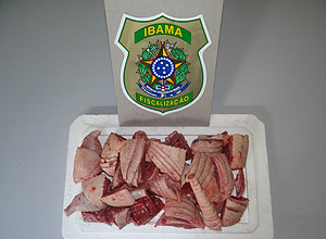 Carne de tatu apreendida pelo Ibama, no Rio