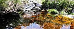 Divulgação With Over 200 Waterfalls, Natural Scenery of Serra da Canastra Attracts Tourists